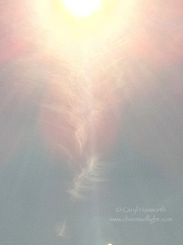 Angelic Light - photo by Caryl Haxworth